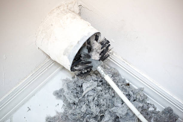 Best Air Duct Mold Removal  in Holly Springs, NC